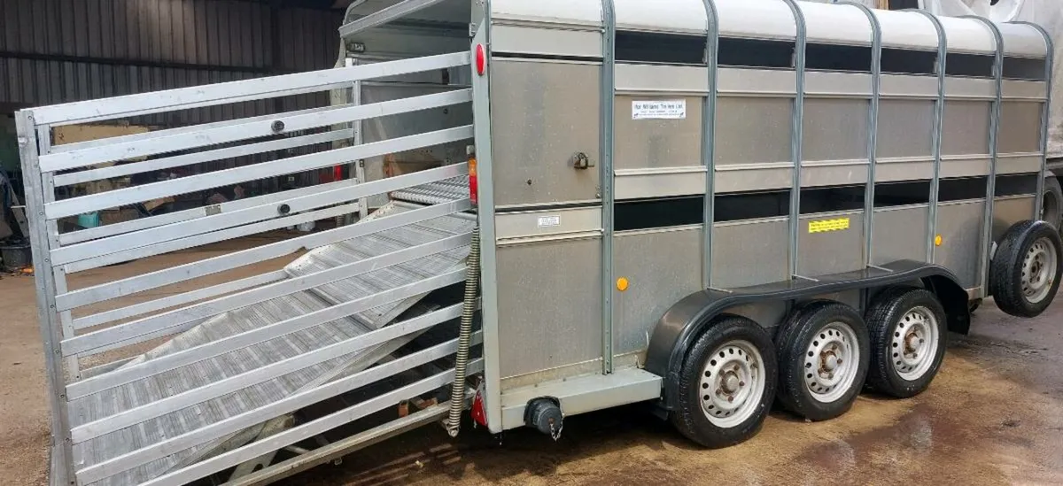 Sheep/cattle trailer decks 14x6 tri axle year 2019 - Image 4