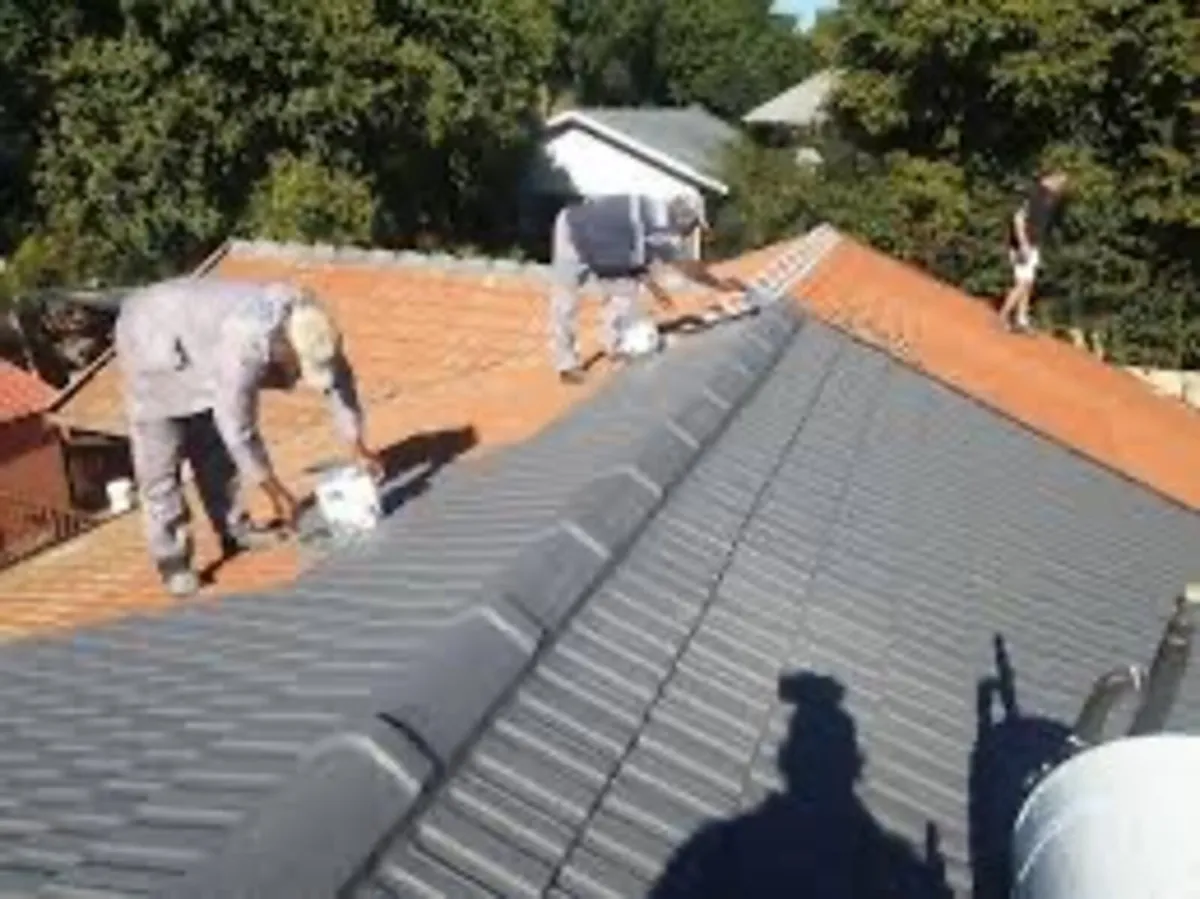 Roof/driveway paint - Image 1
