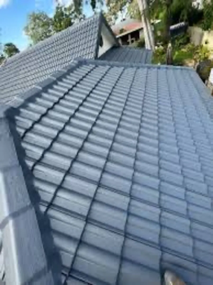 Roof/driveway paint - Image 2