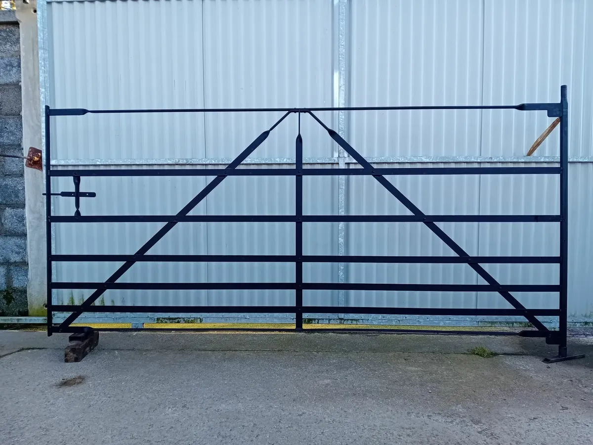 Wrought iron gates - Image 1