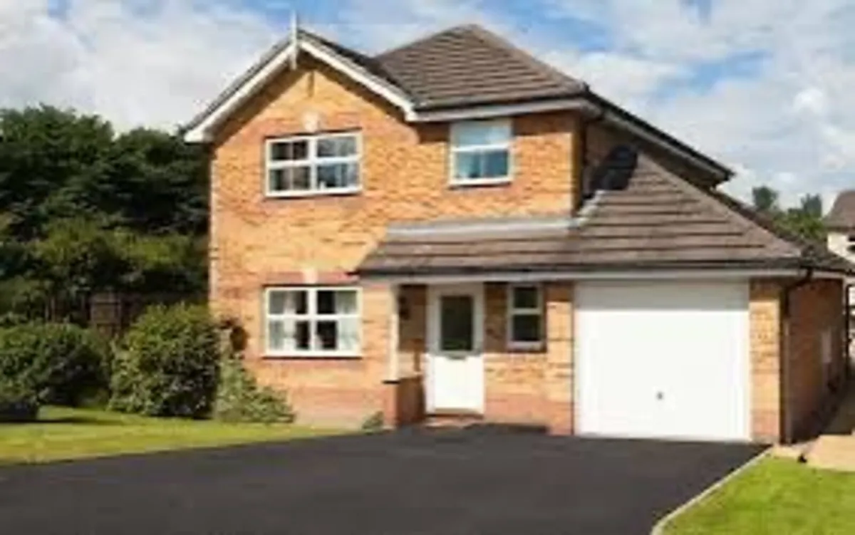 Roof/driveway paint - Image 3
