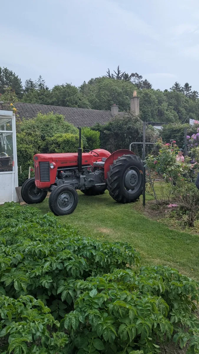 Vintage  Tractor - Image 2
