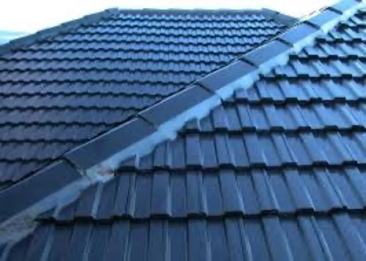 Roof/driveway paint - Image 1