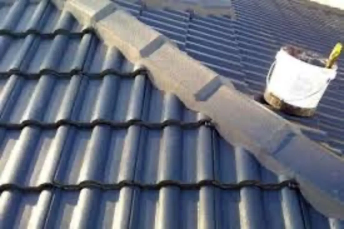 Roof/driveway paint - Image 2