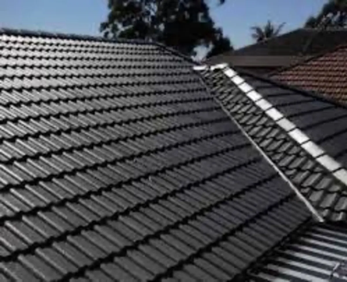 Roof/driveway paint - Image 4