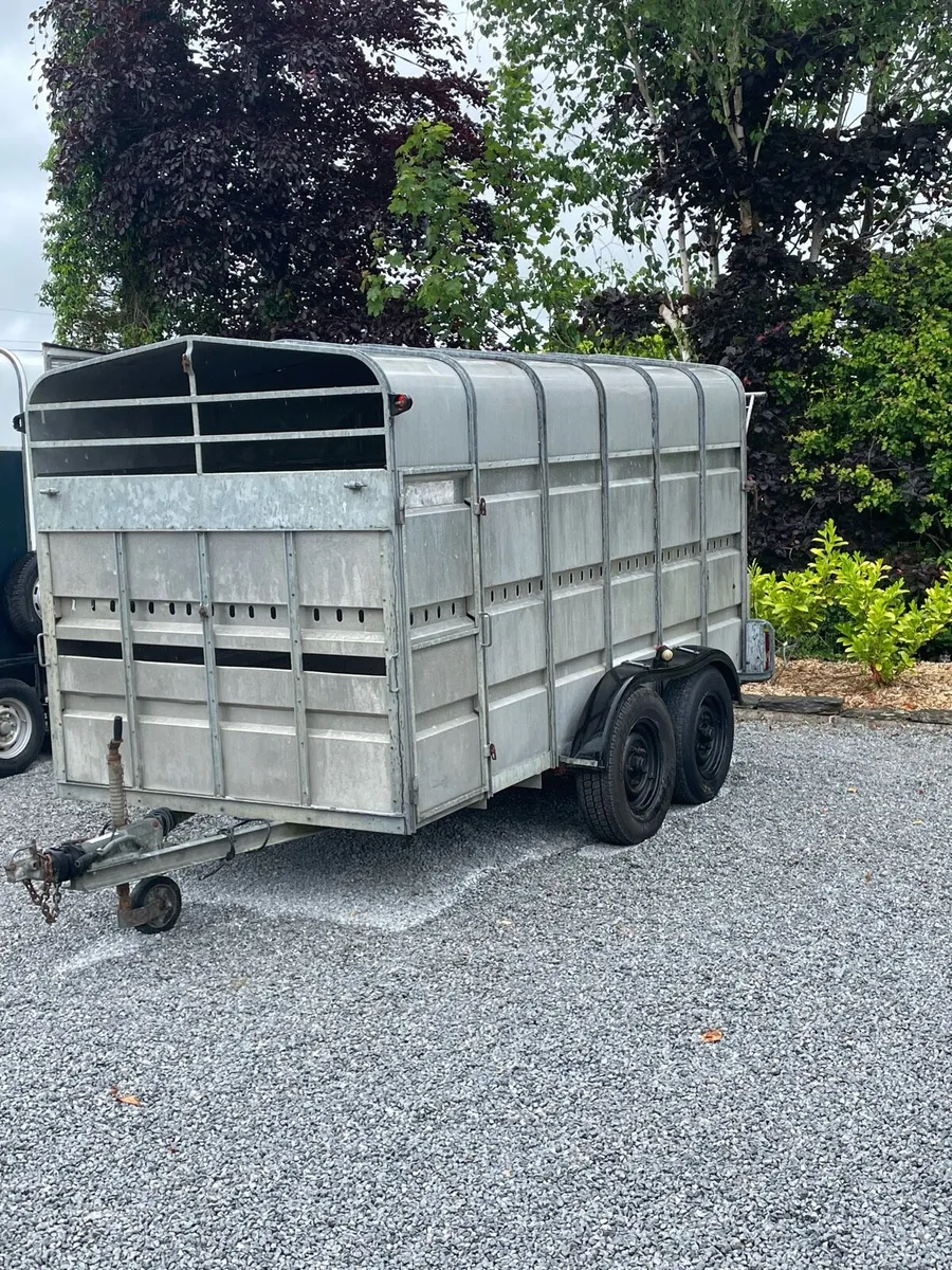 Cow trailer - Image 1