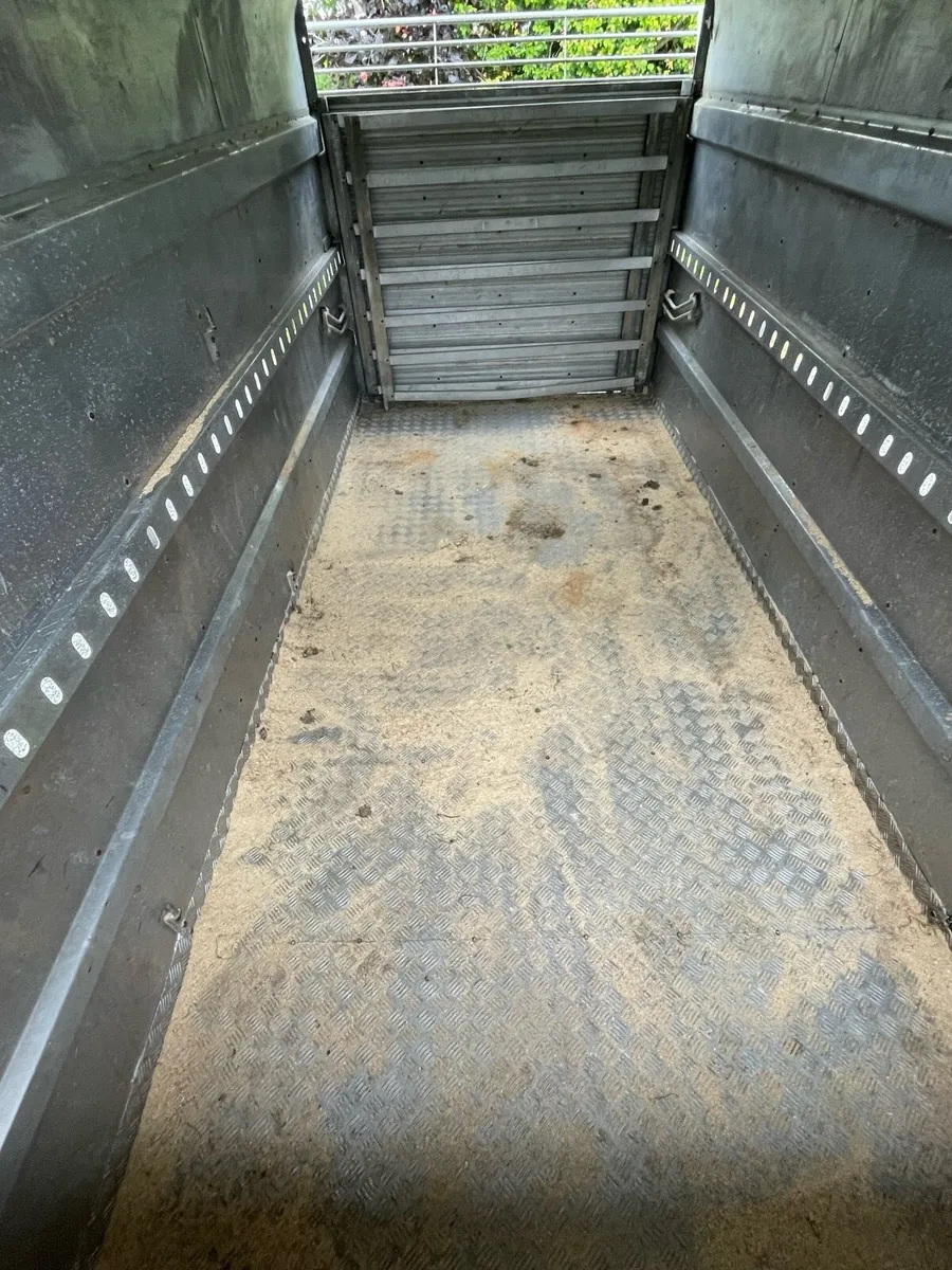 Cow trailer - Image 4