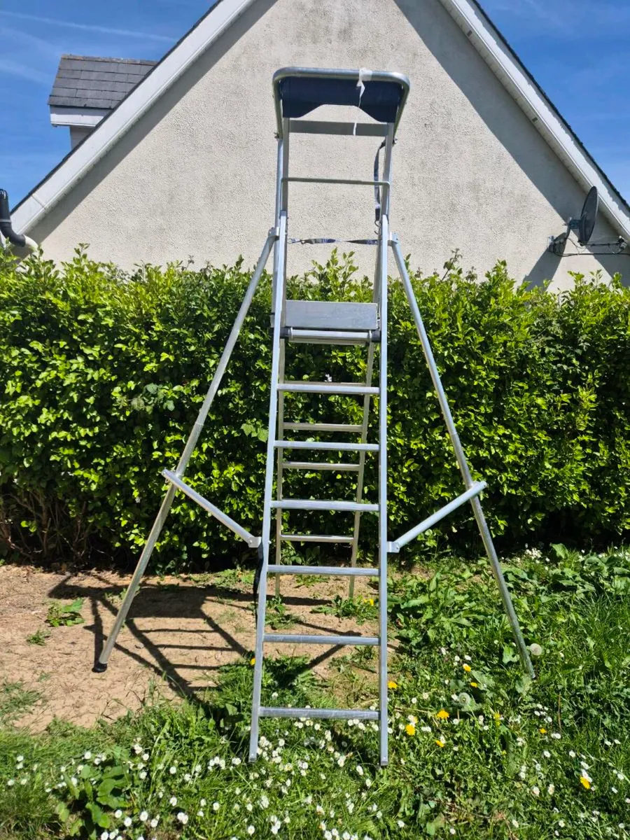 Ladder (in excellent condition) - Image 2