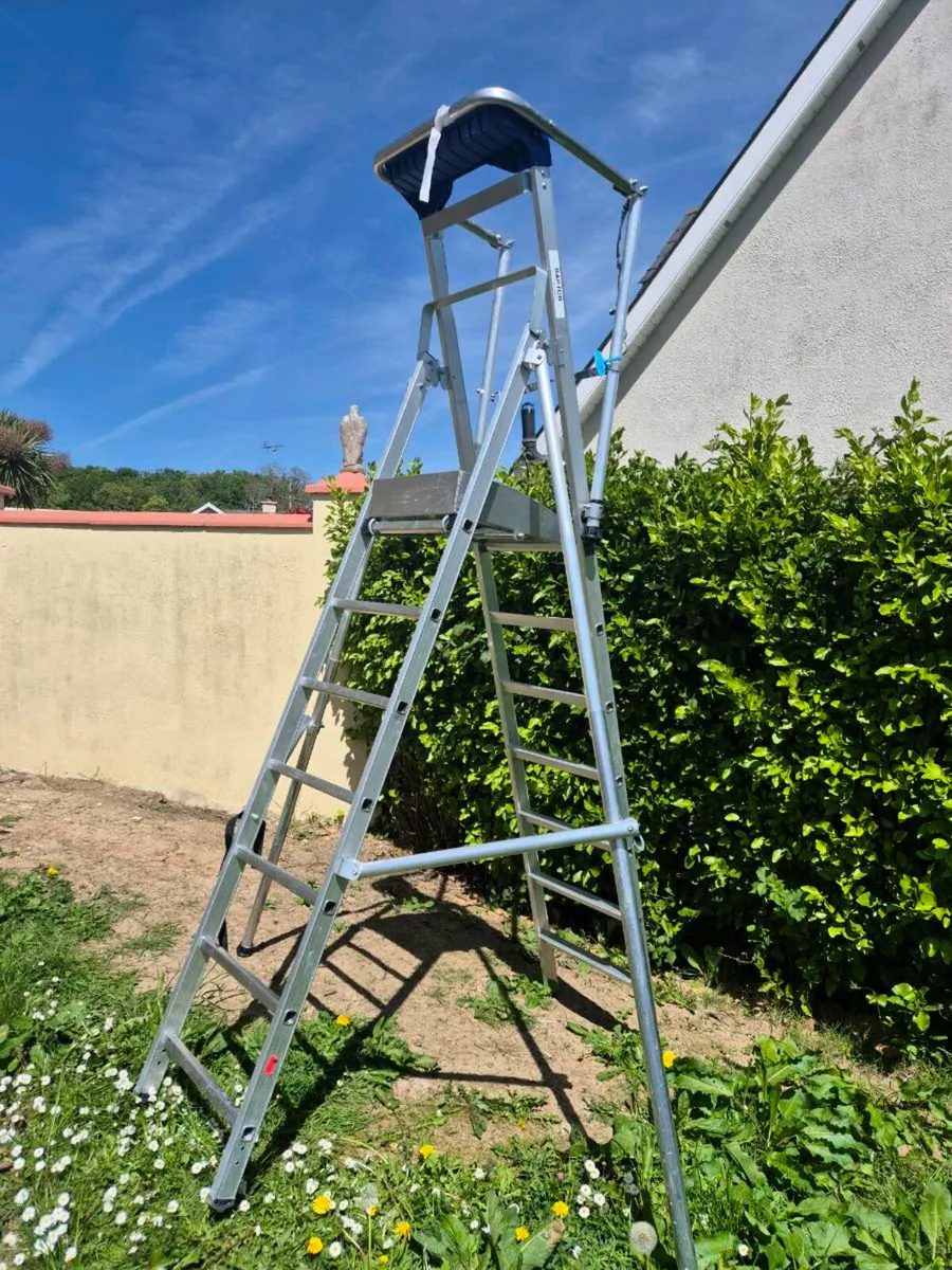 Ladder (in excellent condition) - Image 1