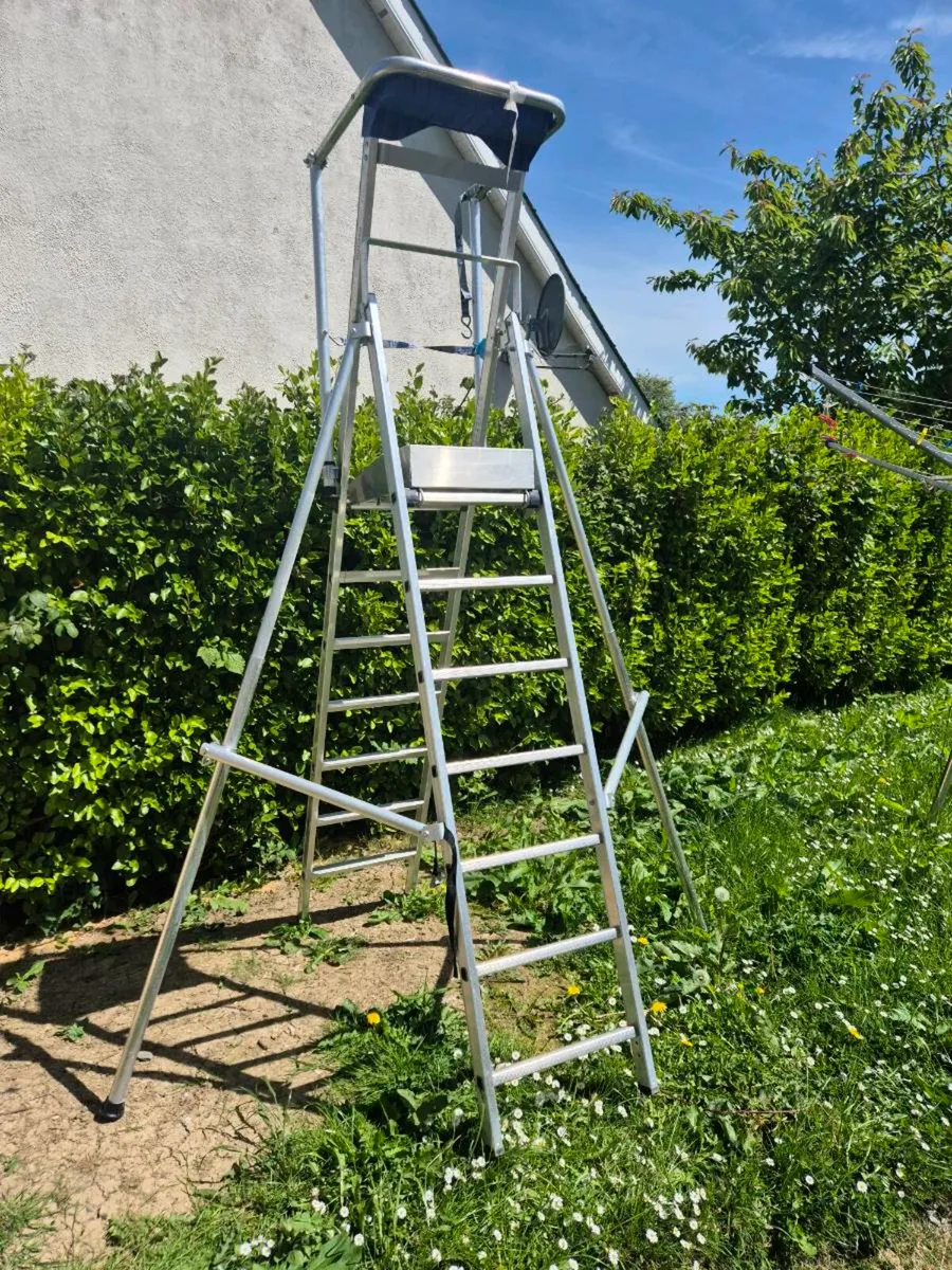 Ladder (in excellent condition) - Image 3