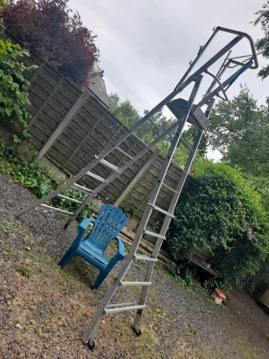 Ladder - Image 1