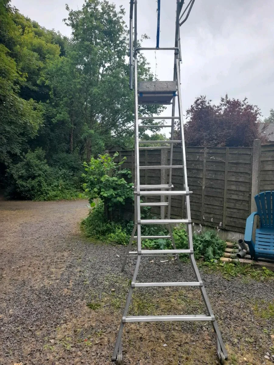 Ladder - Image 2