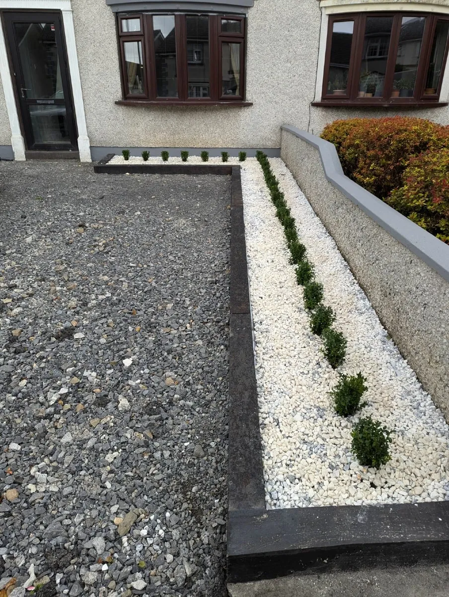 Box Hedging - Image 2