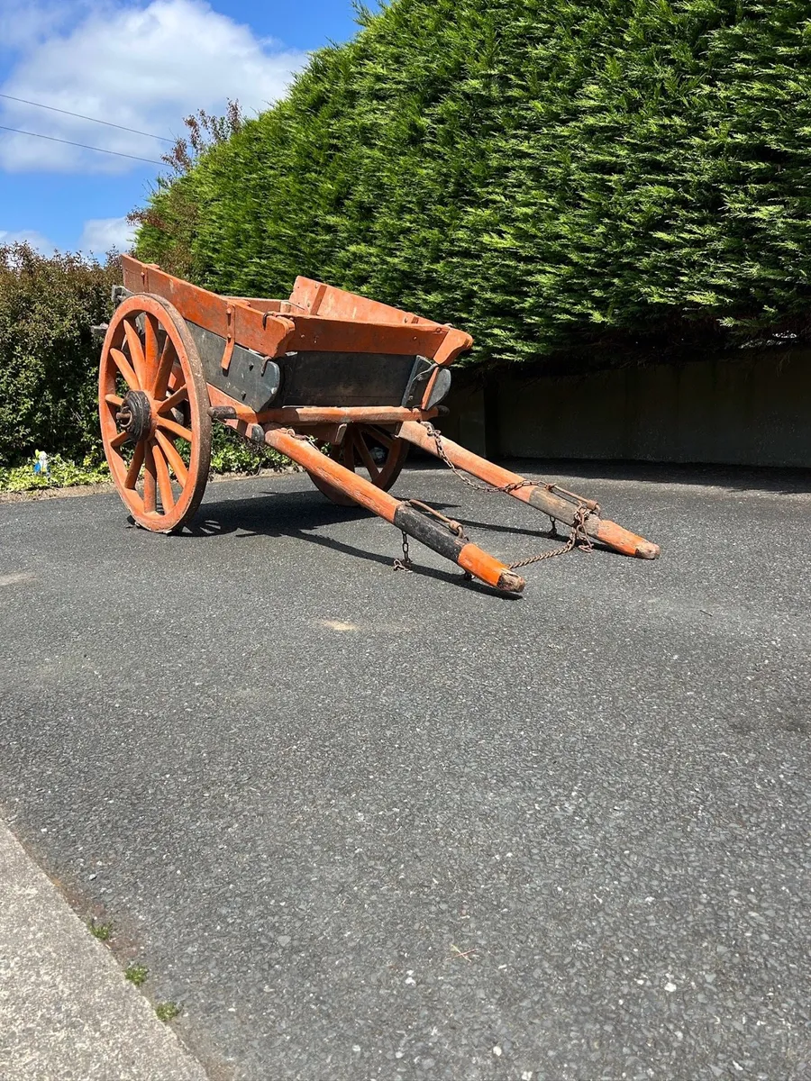 Donkey Cart - Image 1