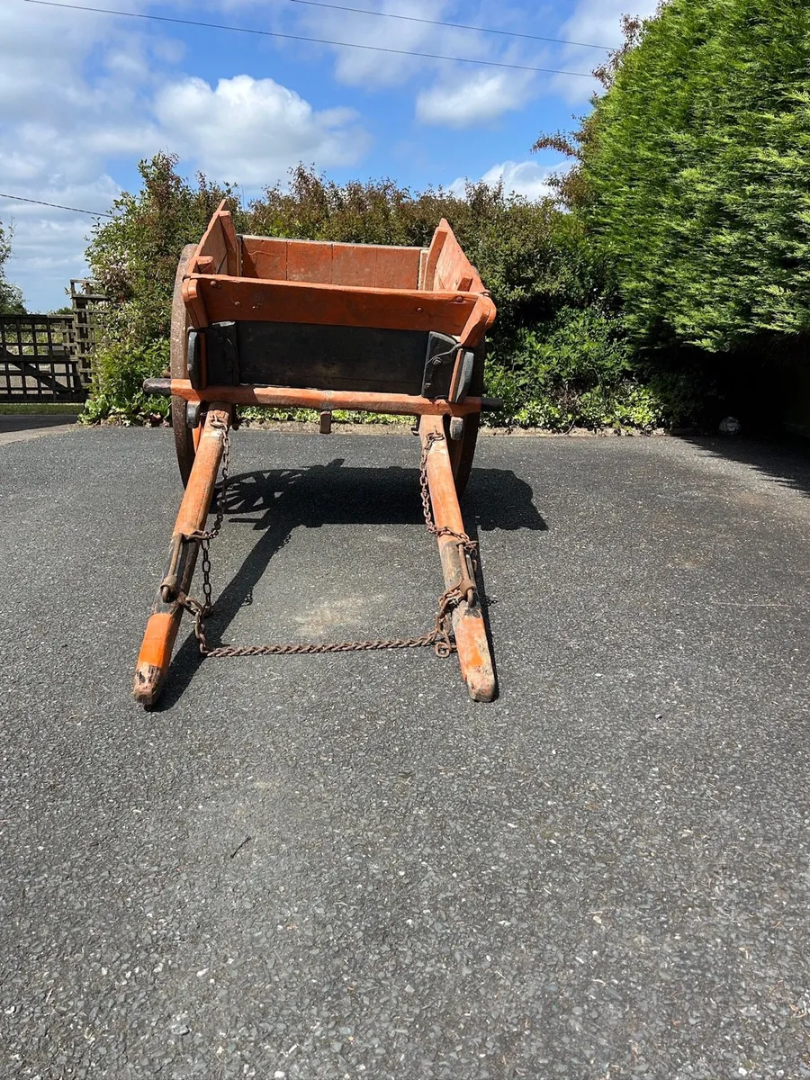Donkey Cart - Image 2