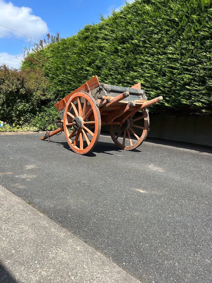 Donkey Cart - Image 3