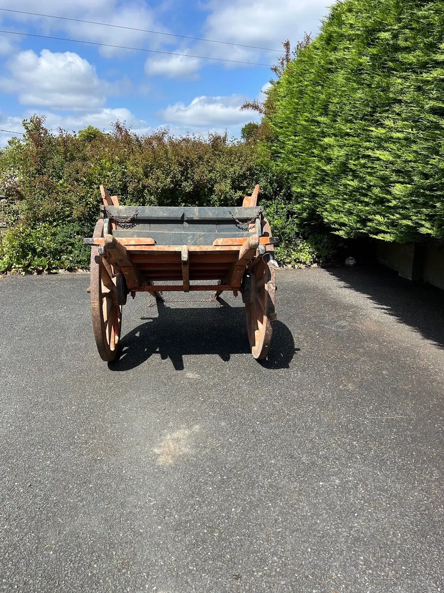 Donkey Cart - Image 4