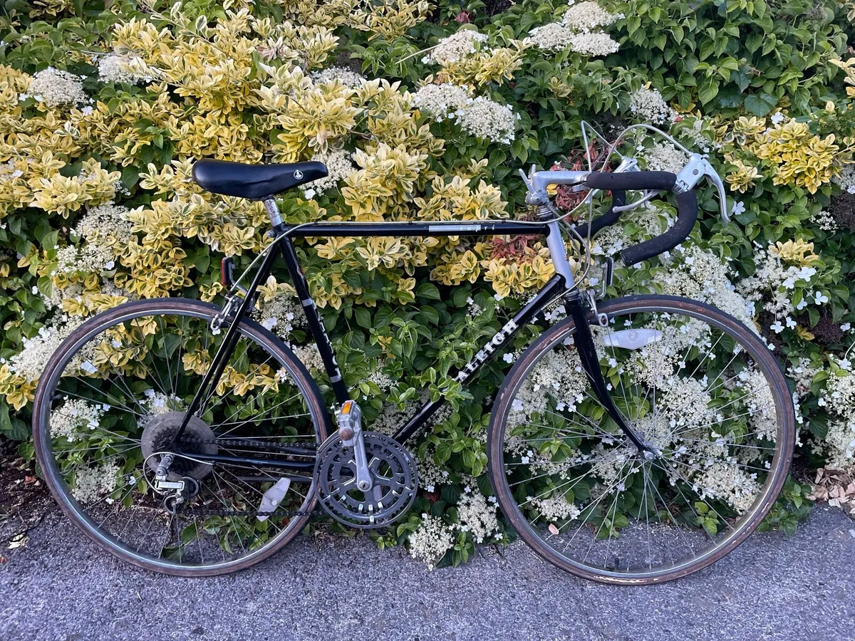Vintage Raleigh Capri 22” frame - Image 1