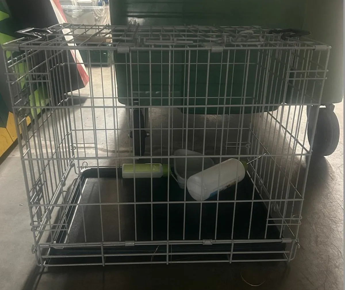 Dog crate