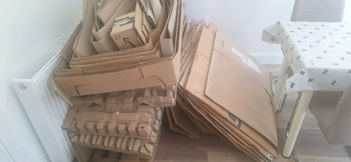 Cardboard boxes