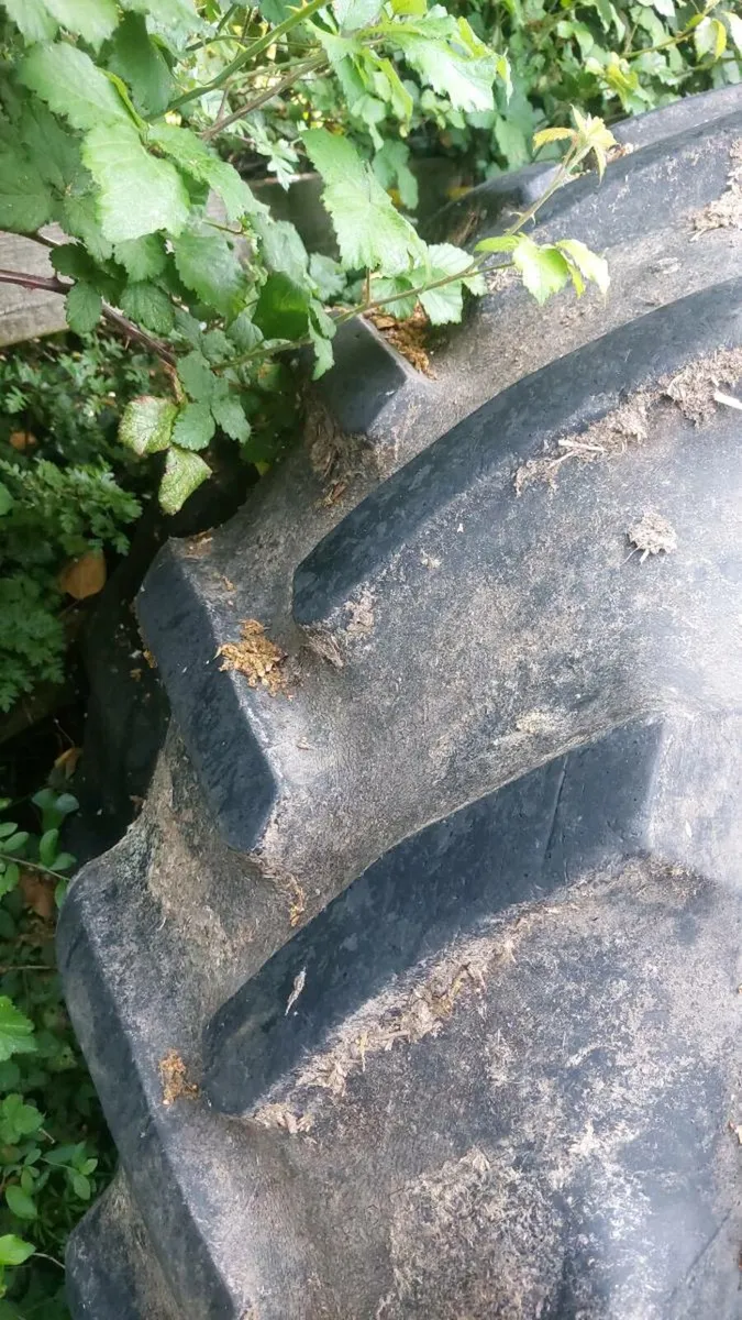 16.9R34 tractor tyres - Image 3