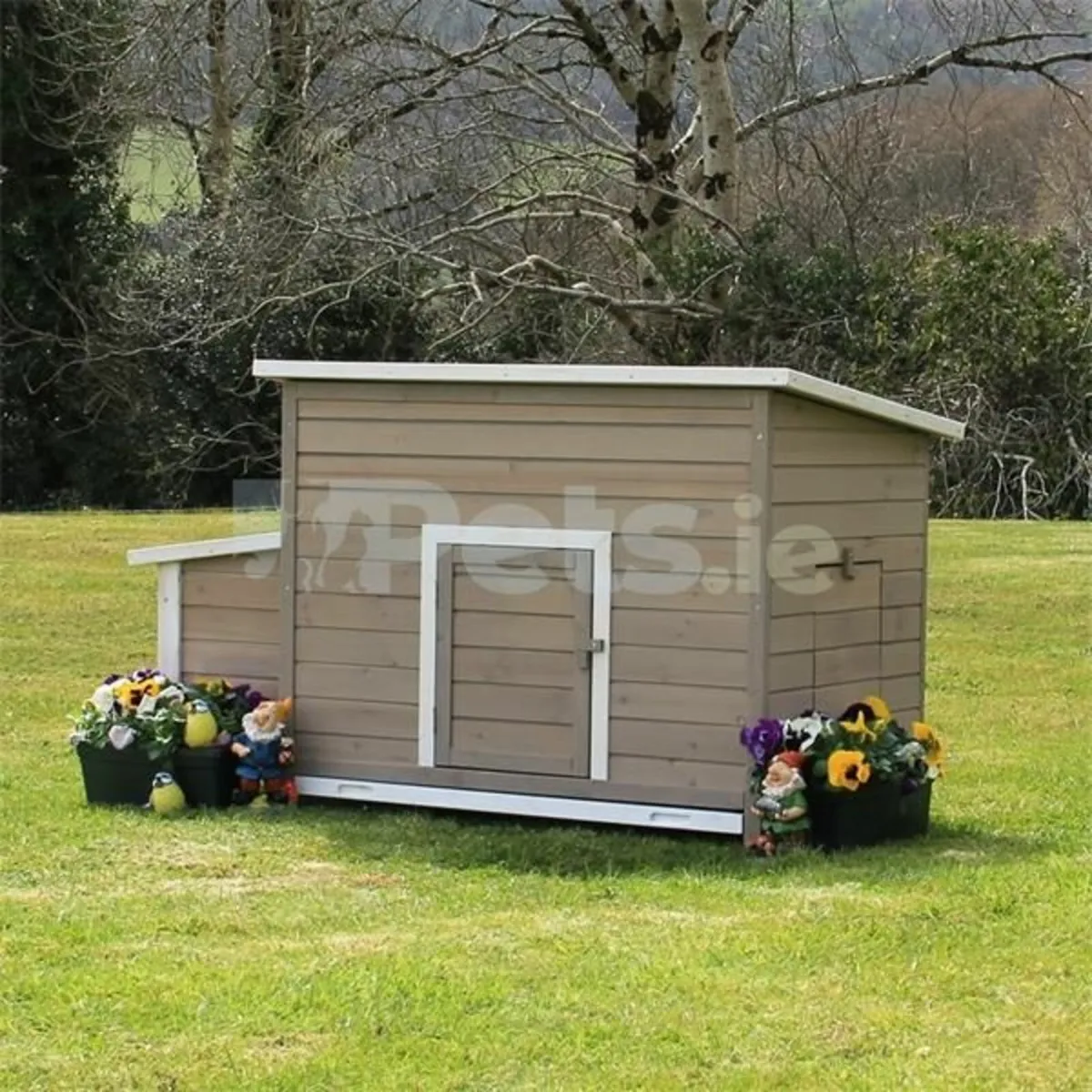 Chicken Coop - Range of Coops Available - Image 3