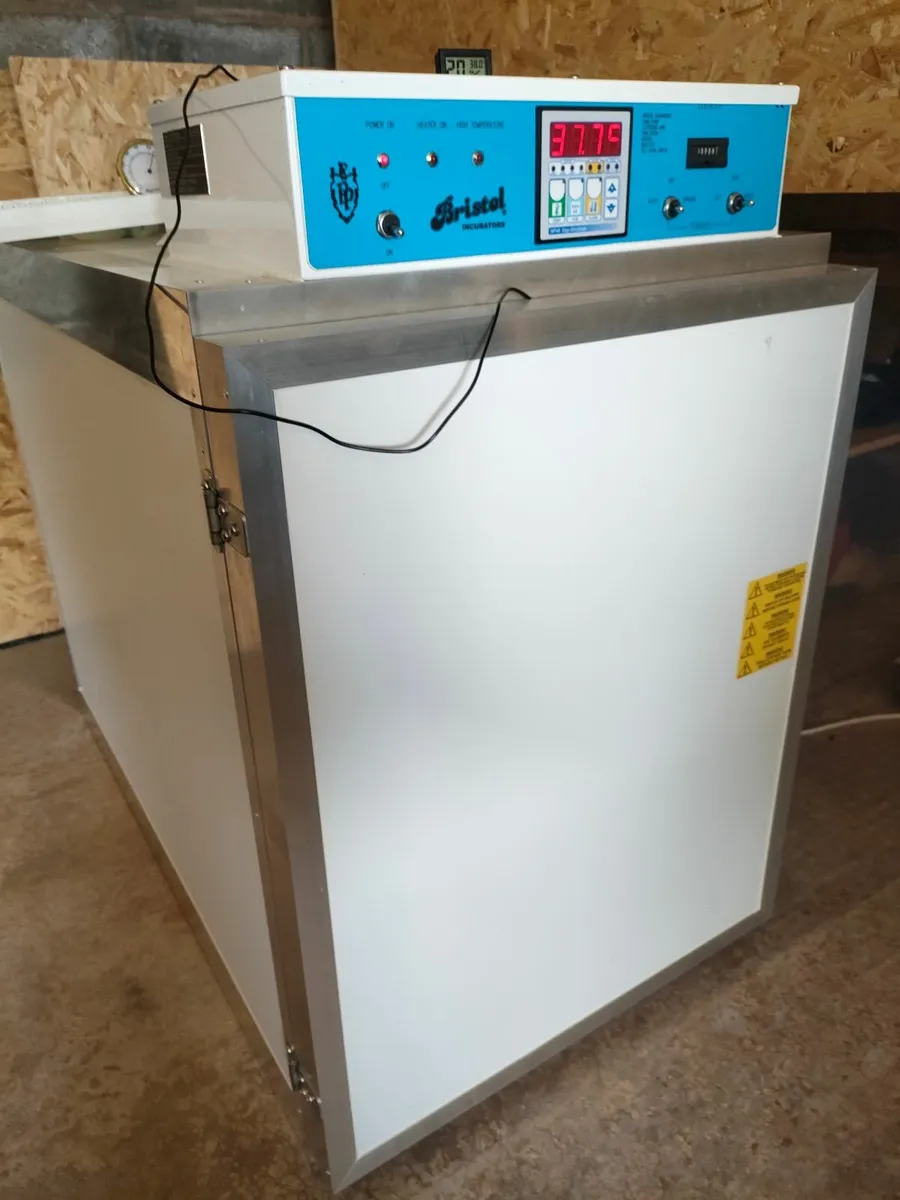 Incubator - Image 1