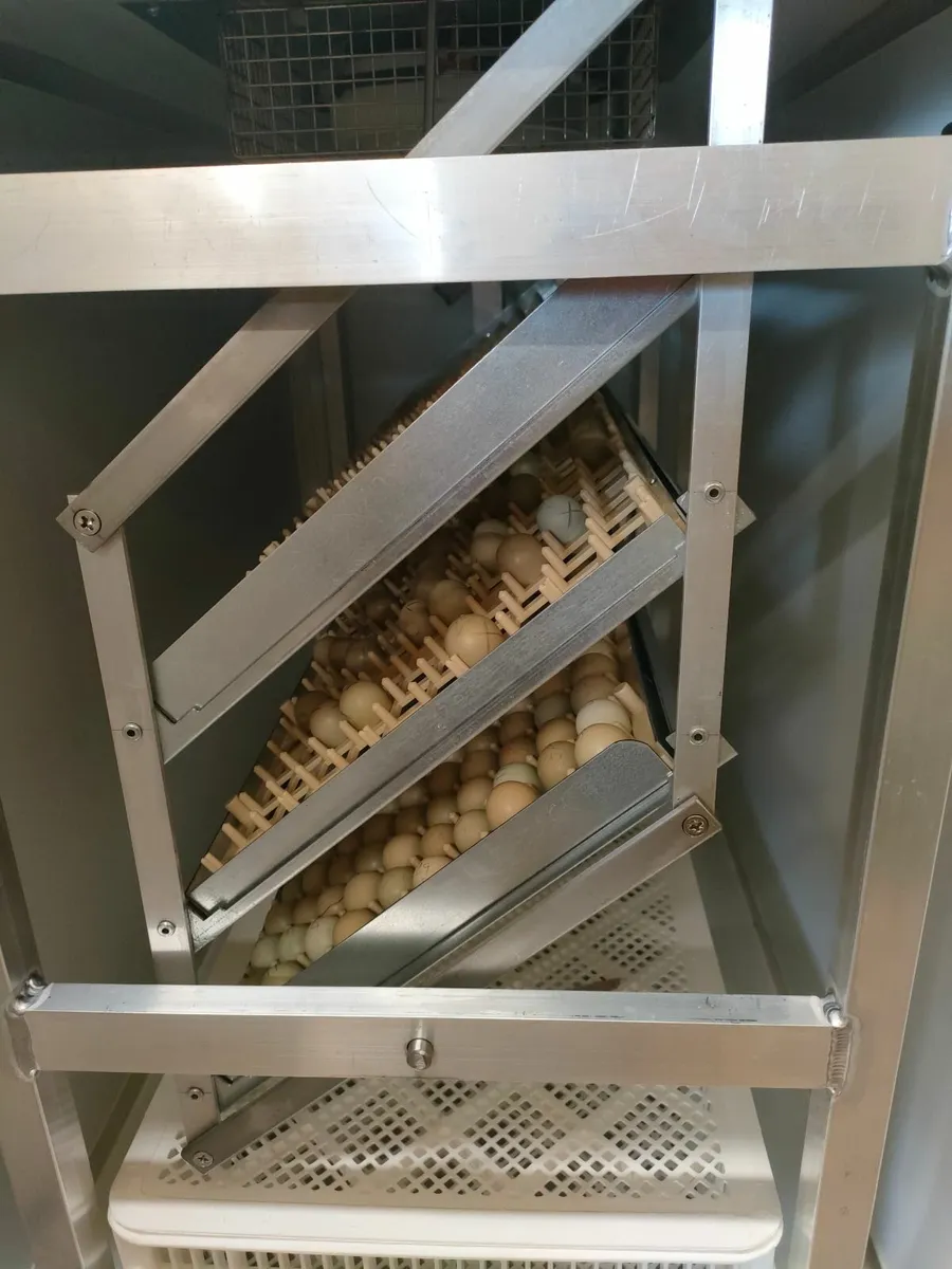 Incubator - Image 2