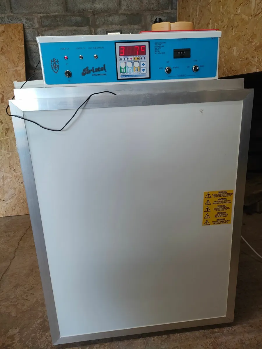 Incubator - Image 3
