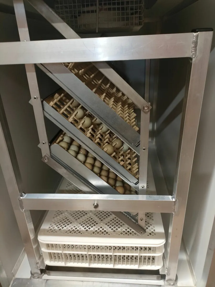 Incubator - Image 4