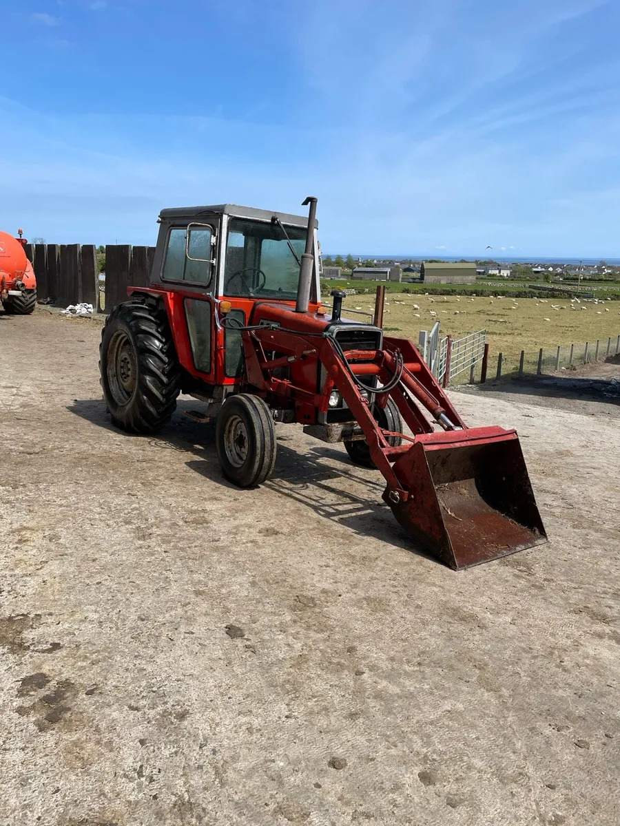 Massey Ferguson 565 - Image 2