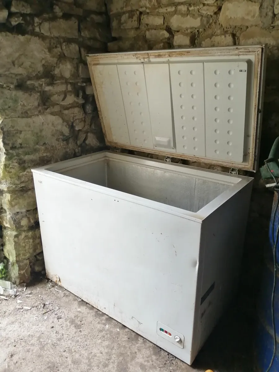 double chest freezer - Image 1