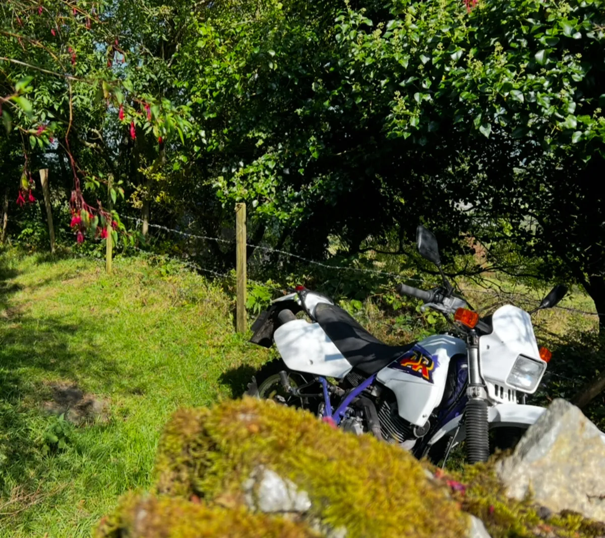Suzuki DR 350 - Image 3