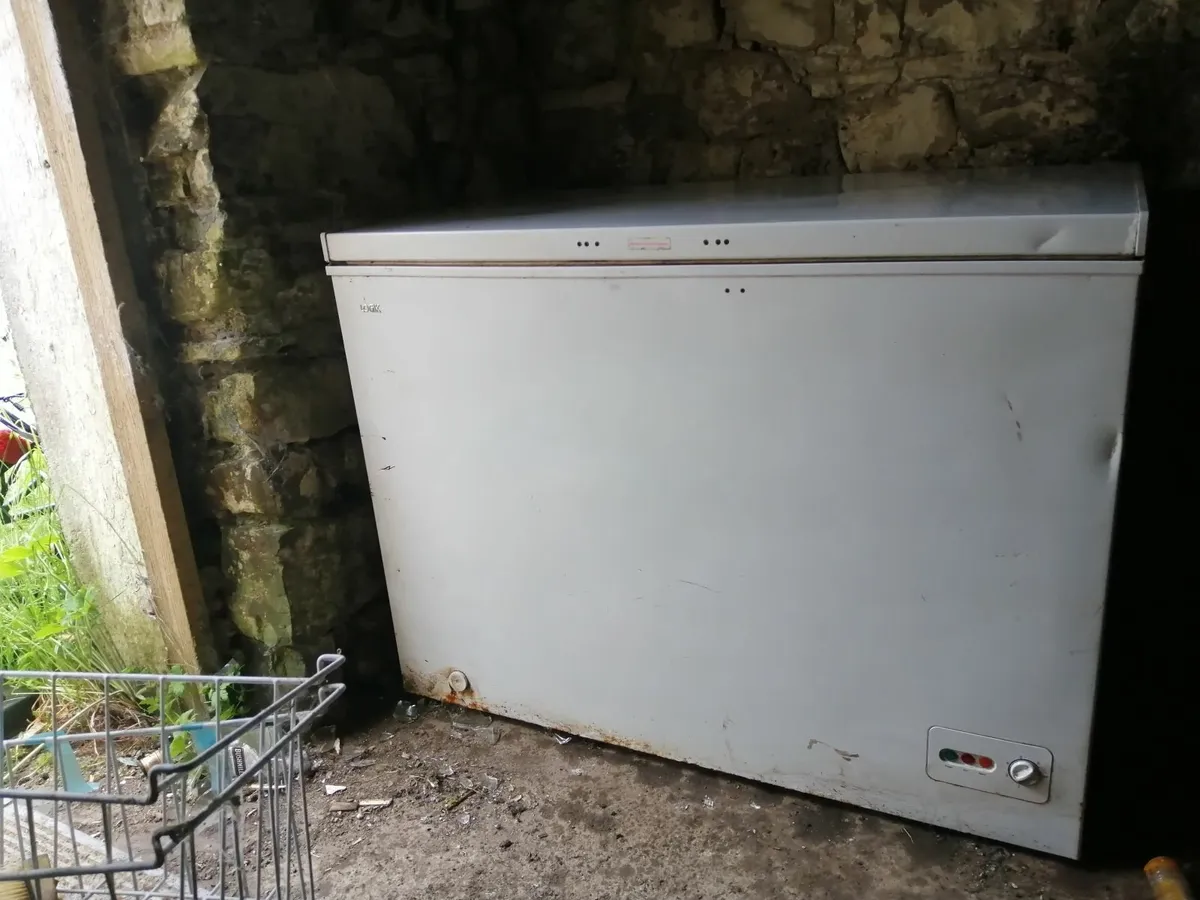 double chest freezer - Image 2