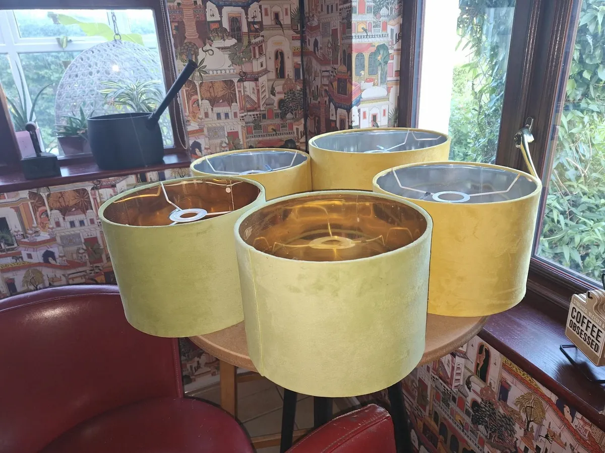 Lamp shades - Image 1
