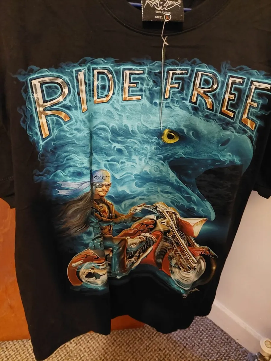 Job Lot of 900 New T Shirts, all sizes - Image 2