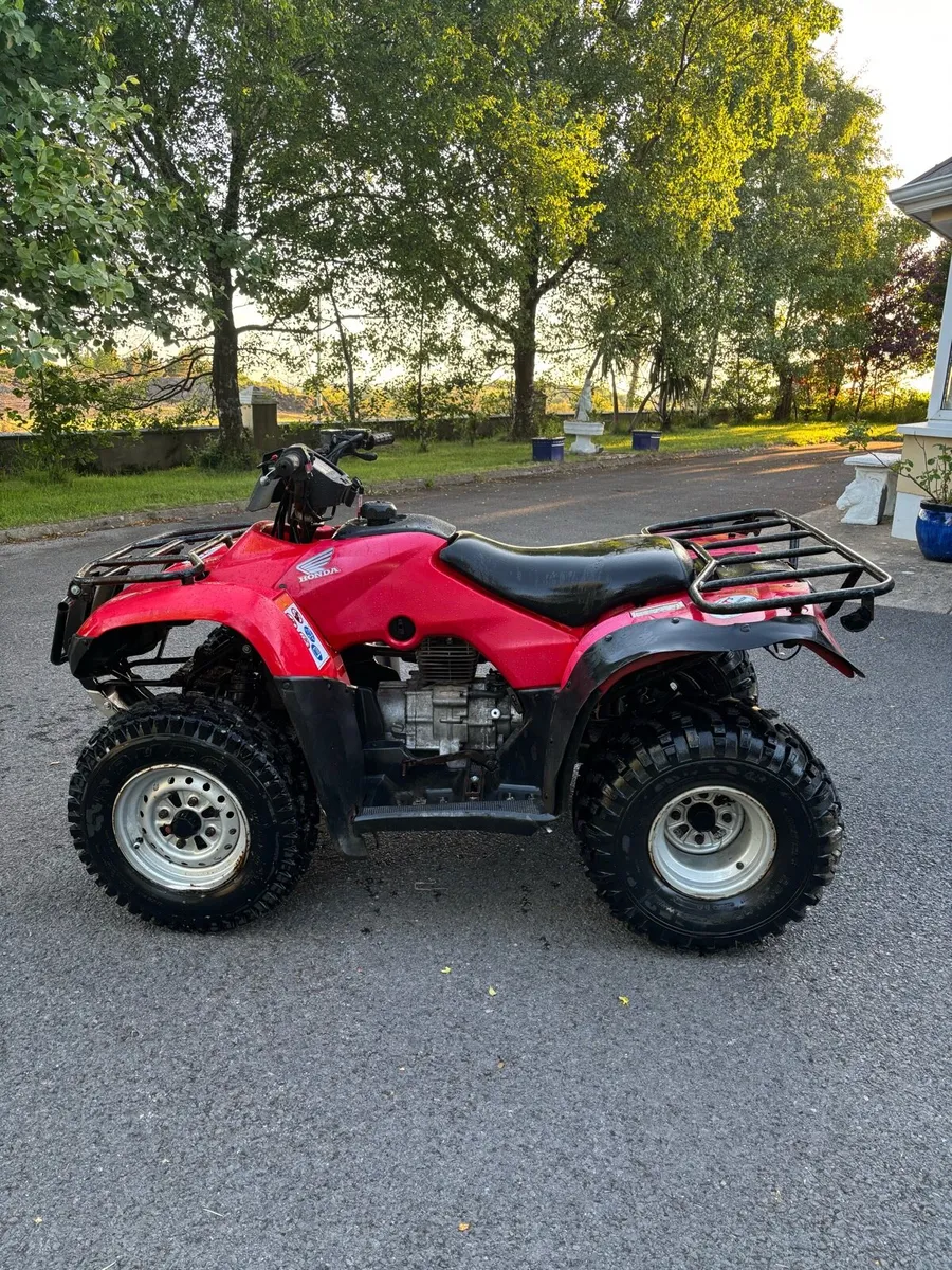 Honda Trx 250 2008 - Image 4