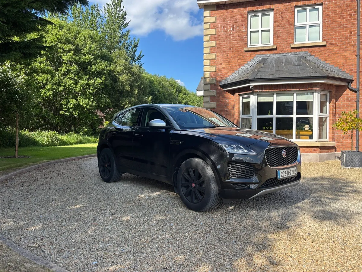 Jaguar - Image 1