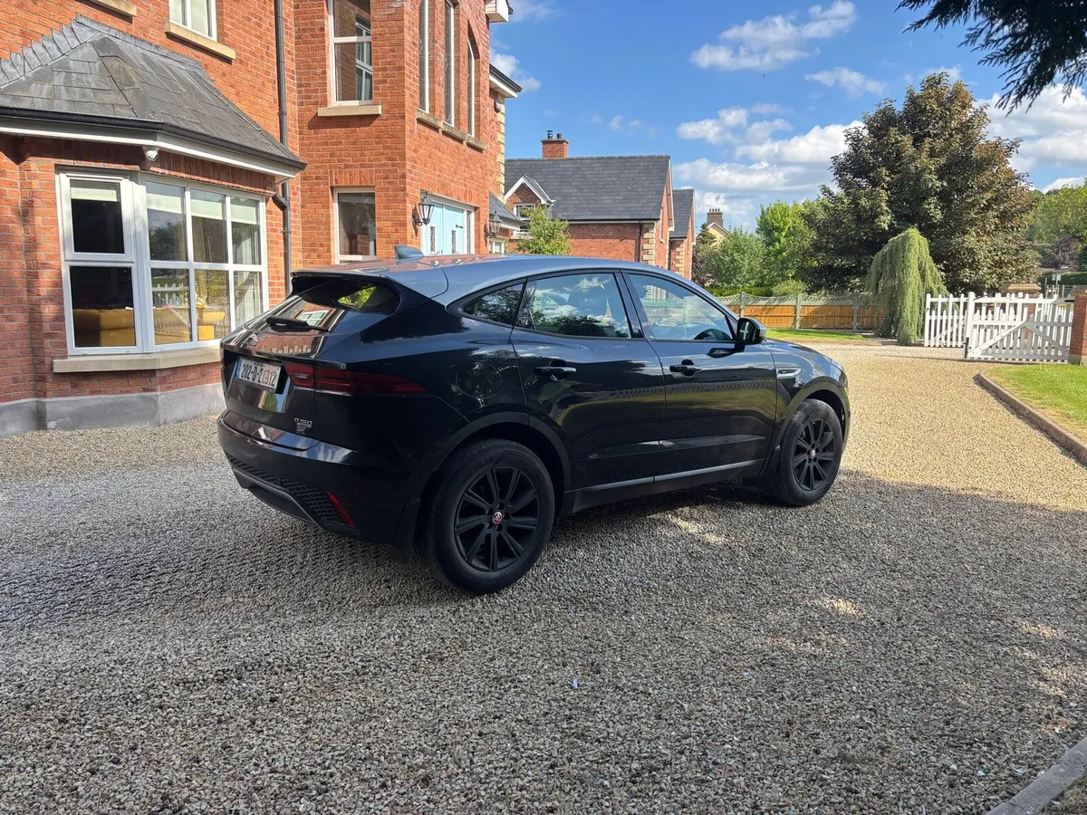 Jaguar - Image 2