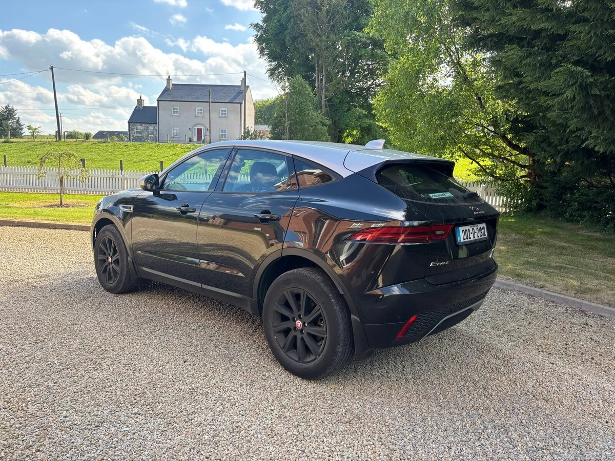 Jaguar - Image 3