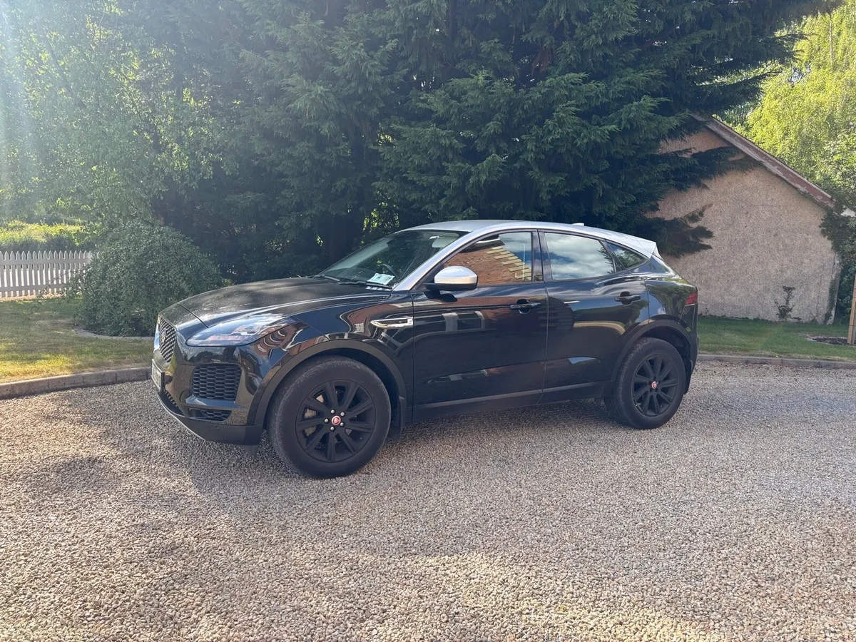 Jaguar - Image 4