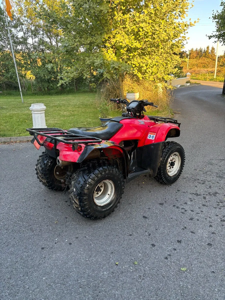 Honda Trx 250 2008 - Image 2