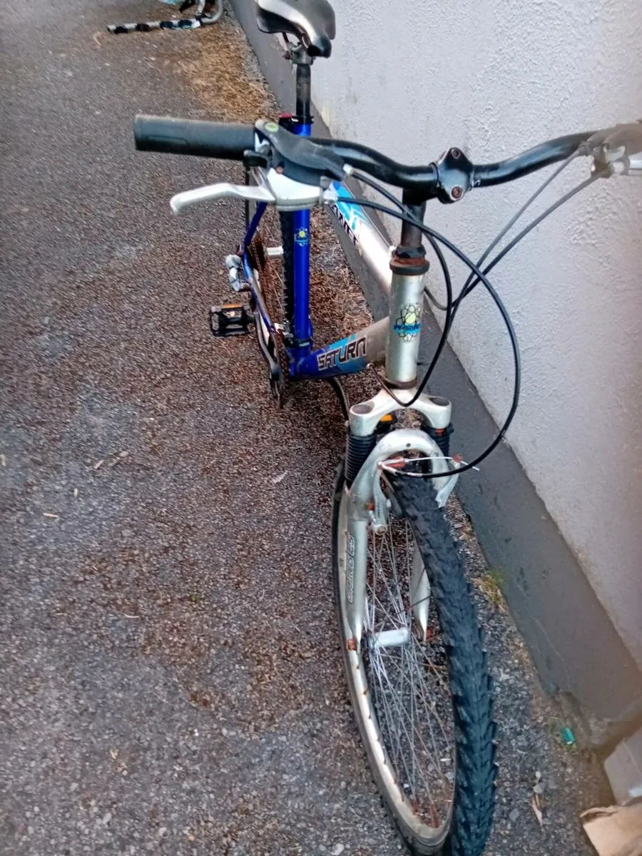Adult bike - Image 2