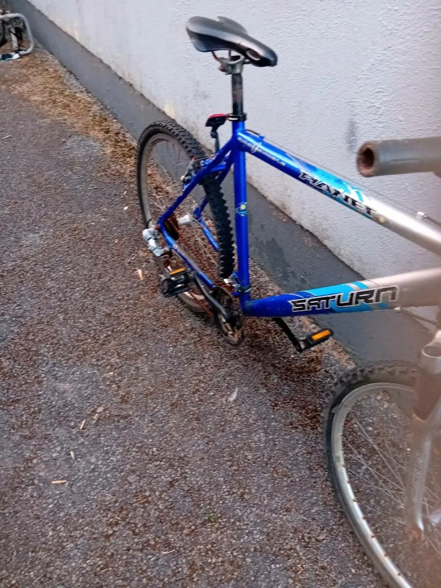 Adult bike - Image 3