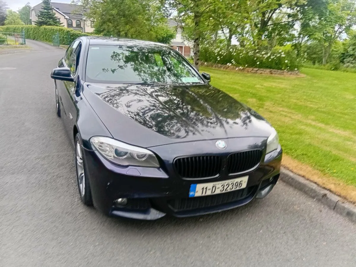 BMW 520 - Image 2