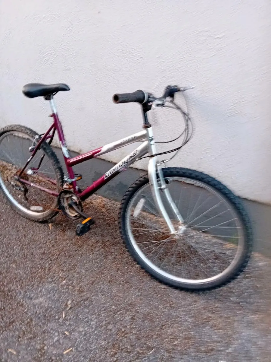 Adult women bike - Image 1