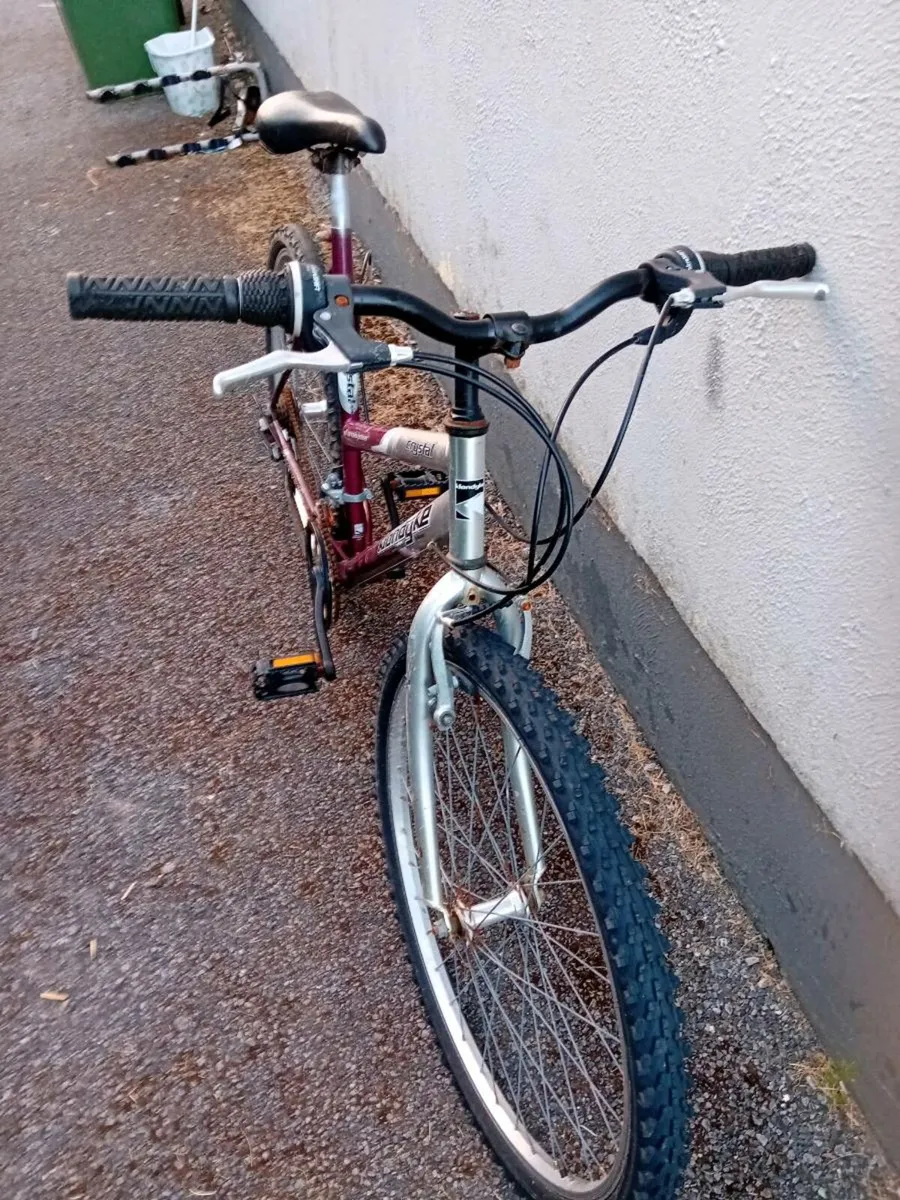 Adult women bike - Image 2