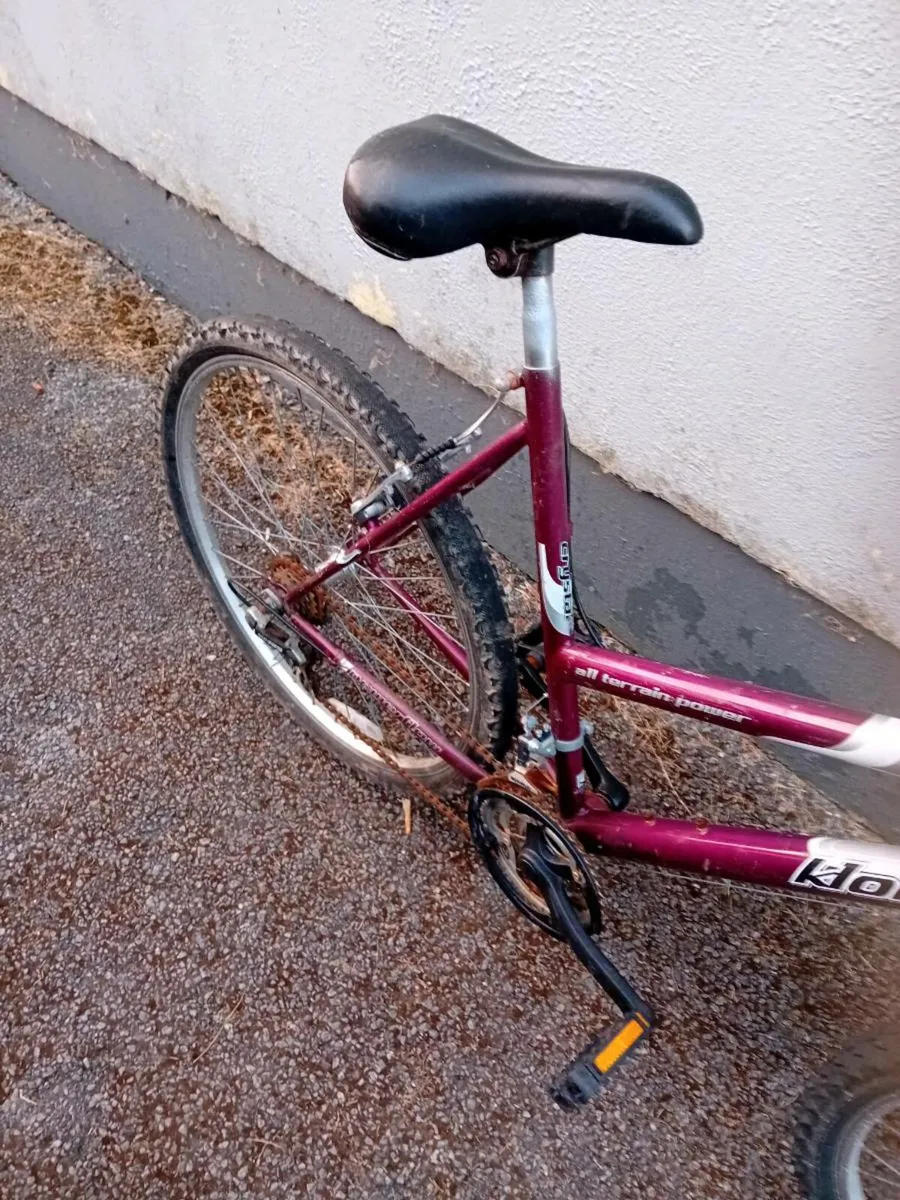 Adult women bike - Image 3