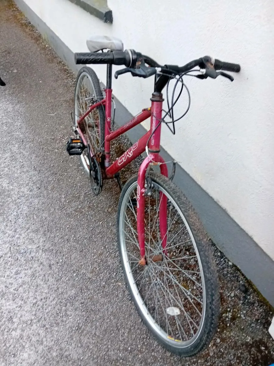 Adult bike - Image 2