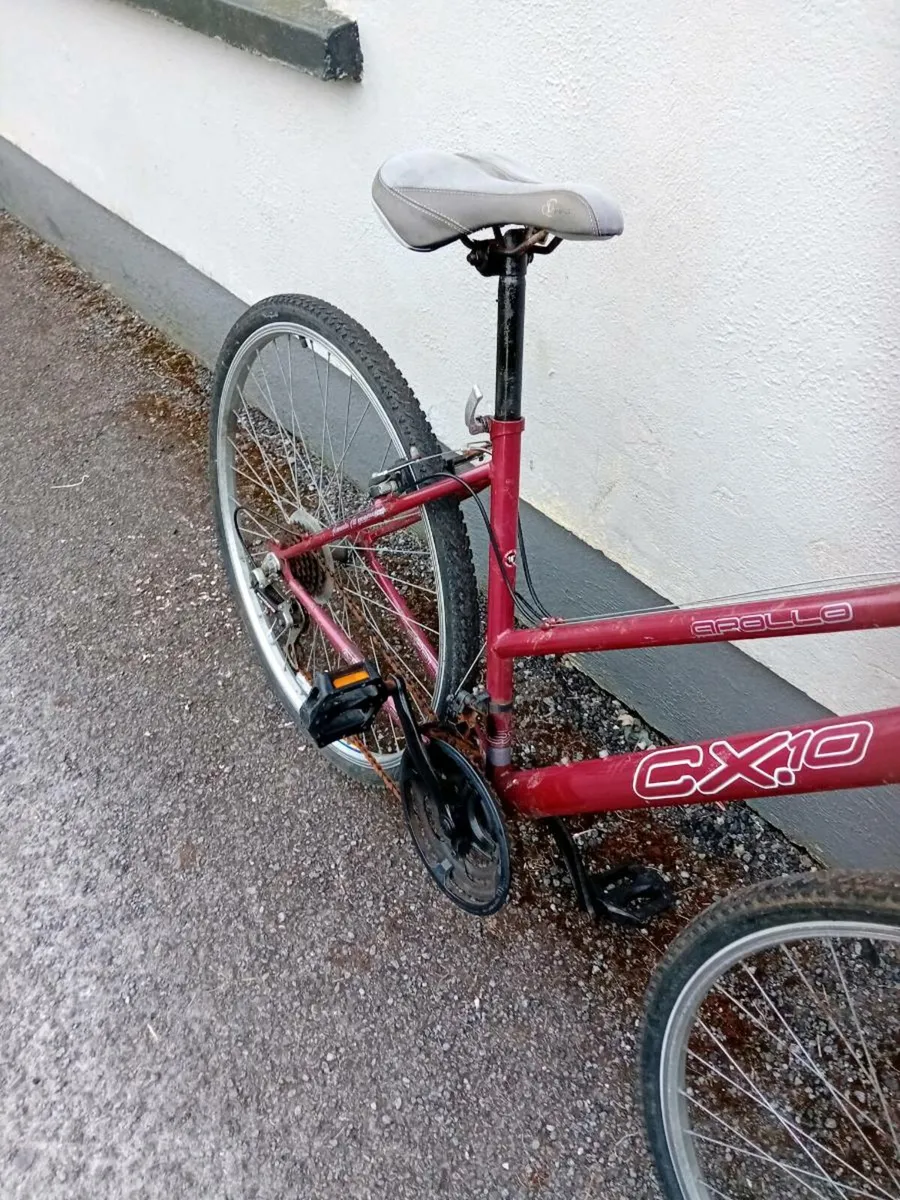Adult bike - Image 3